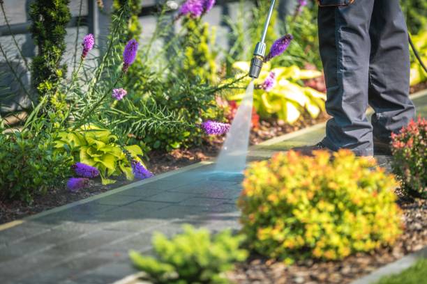 Reliable Ferndale, WA Pressure Washing Services Solutions